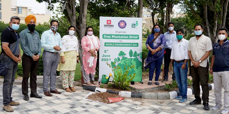 tree plantation drive